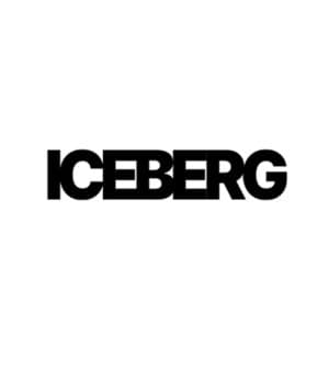 Iceberg